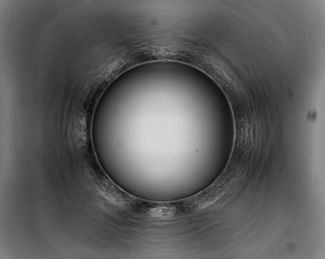 X0000100310700200806121041