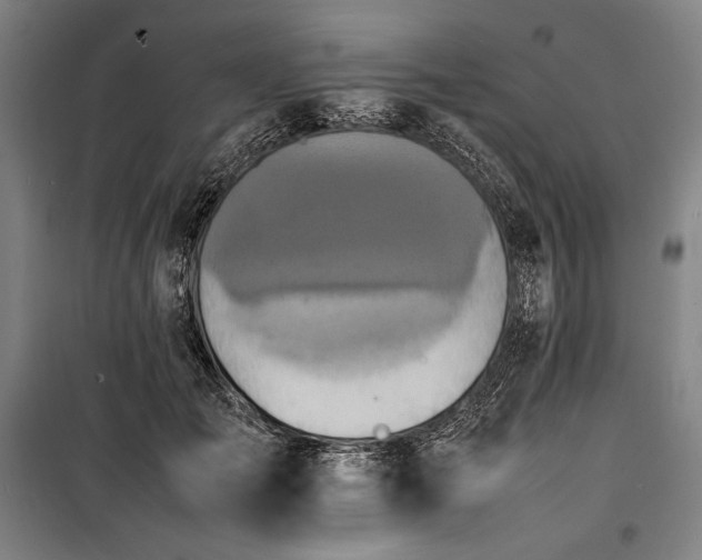 X0000100310701200806121040