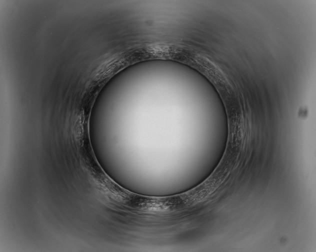 X0000100310702200806121040