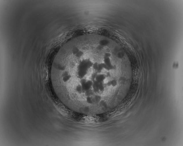 X0000100310703200806121040