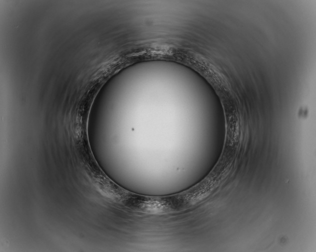 X0000100310704200806121040