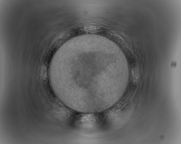 X0000100310705200806121040