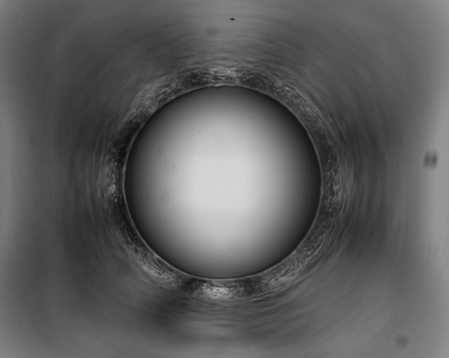 X0000100310706200806121040