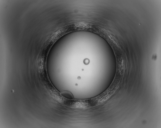 X0000100310708200806121040