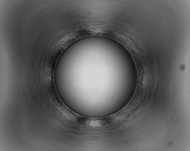 X0000100310710200806121040