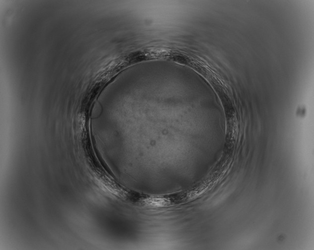 X0000100310711200806121040