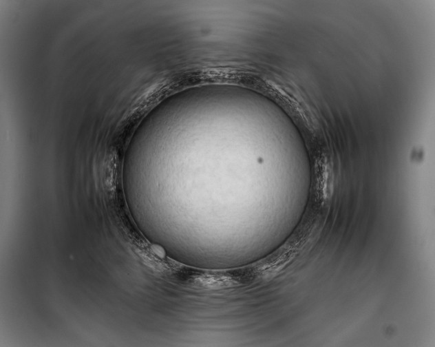 X0000100310712200806121040