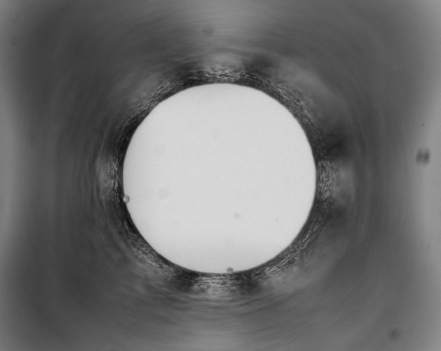 X0000100310713200806121040