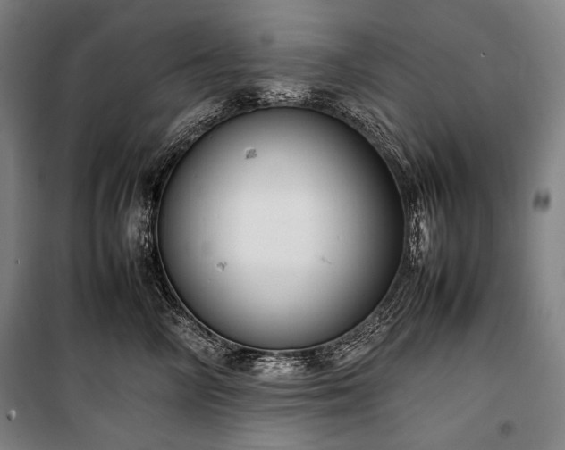 X0000100310714200806121040