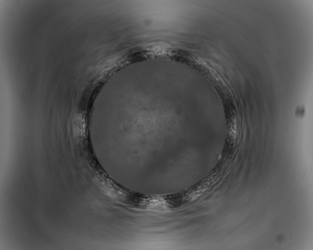 X0000100310715200806121040