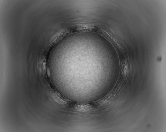 X0000100310716200806121040