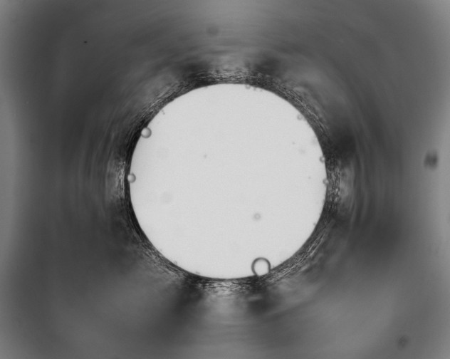 X0000100310717200806121040