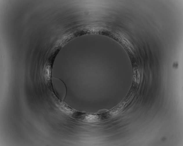 X0000100310718200806121040