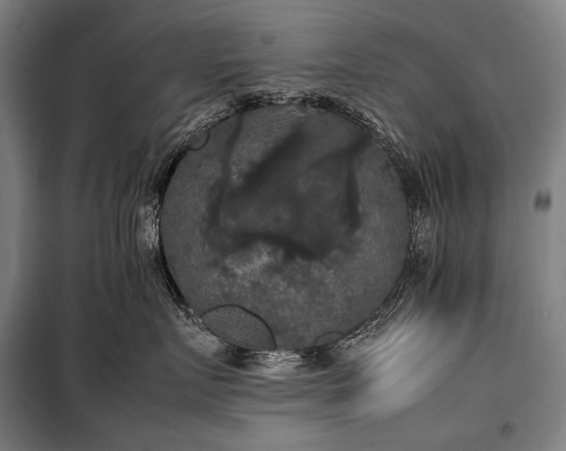 X0000100310719200806121040