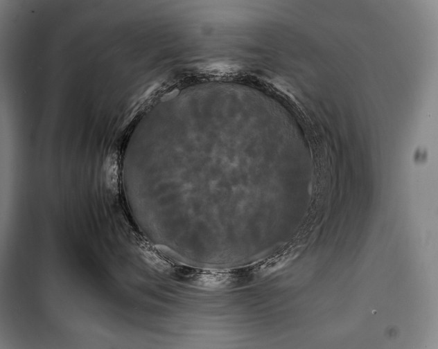 X0000100310720200806121040