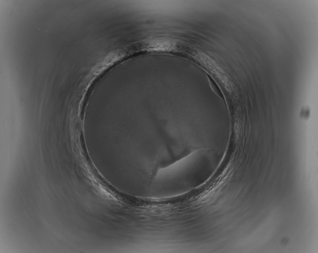 X0000100310721200806121040