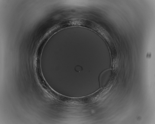 X0000100310722200806121040