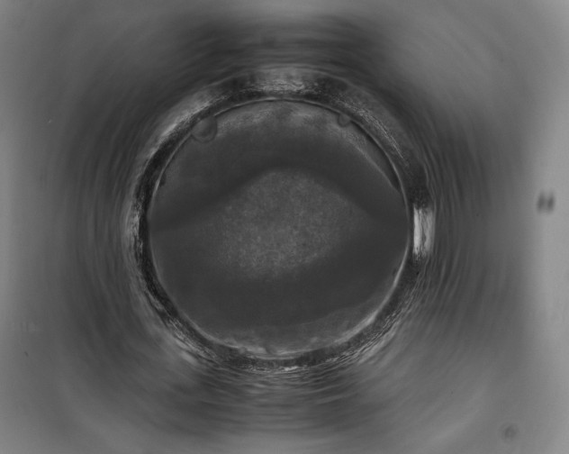 X0000100310723200806121040
