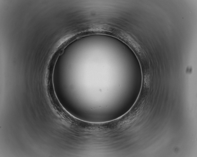 X0000100310724200806121040