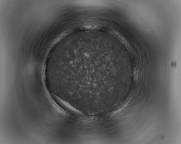 X0000100310725200806121040
