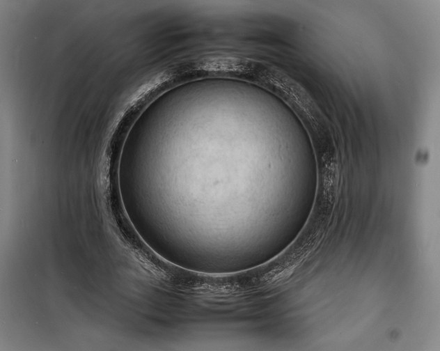 X0000100310727200806121040