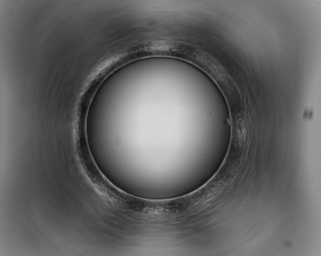 X0000100310728200806121040