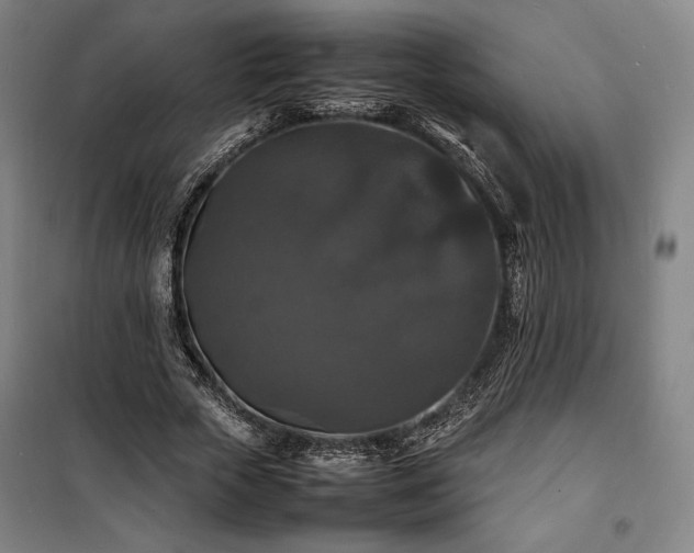 X0000100310729200806121040