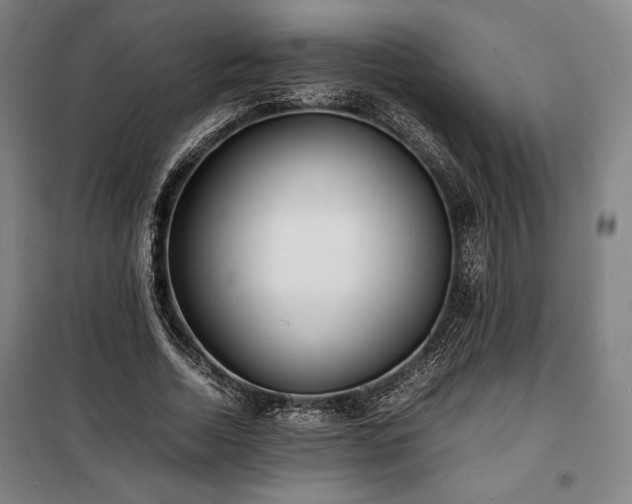 X0000100310730200806121040