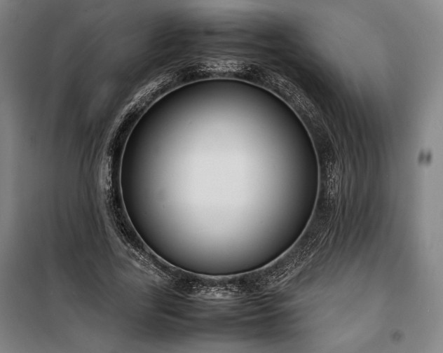 X0000100310731200806121040