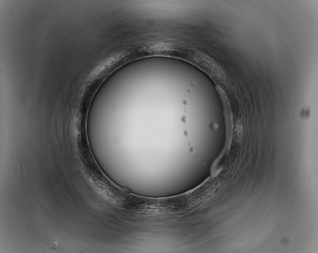 X0000100310732200806121040