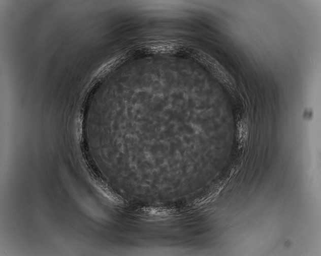 X0000100310733200806121040