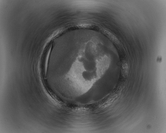 X0000100310734200806121040