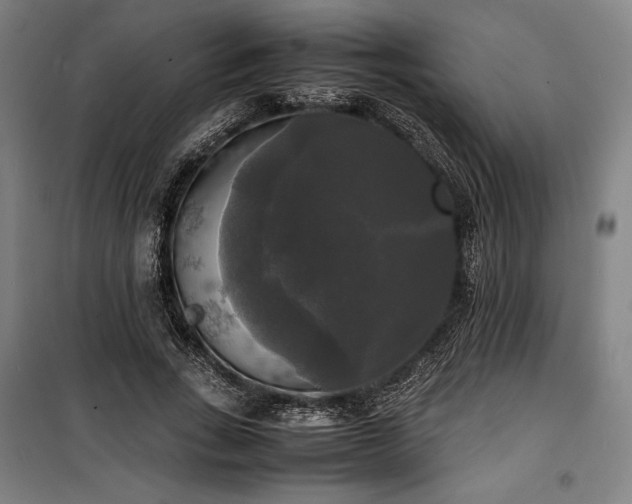 X0000100310735200806121040