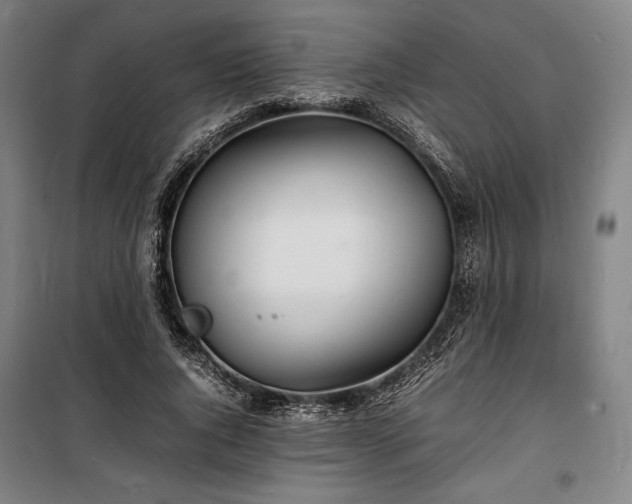X0000100310736200806121040
