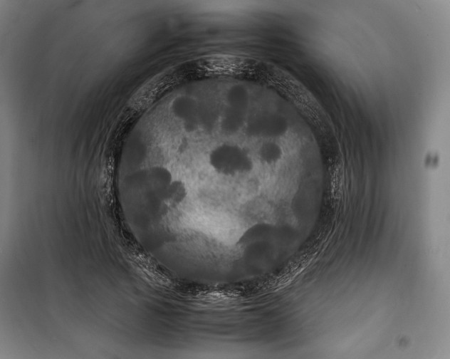 X0000100310737200806121040