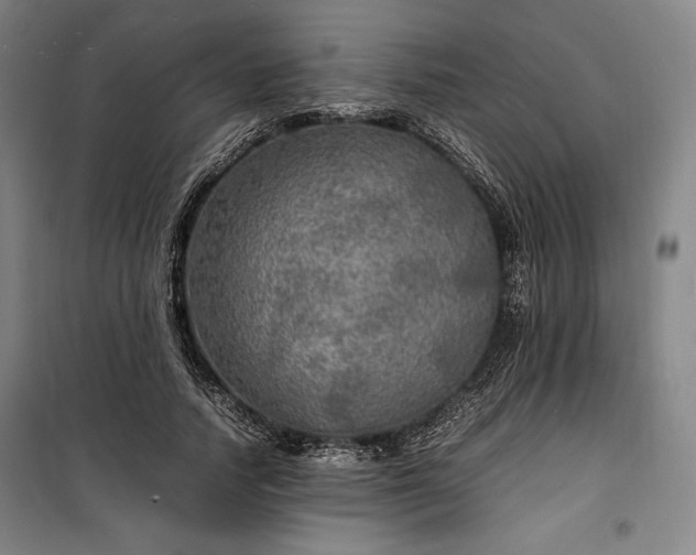 X0000100310738200806121040