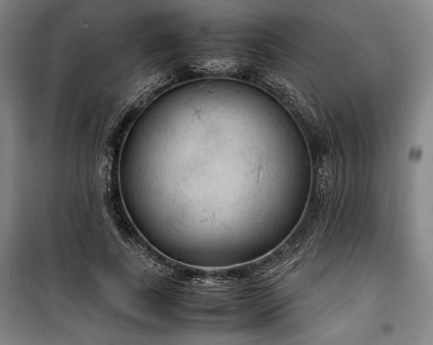 X0000100310739200806121040