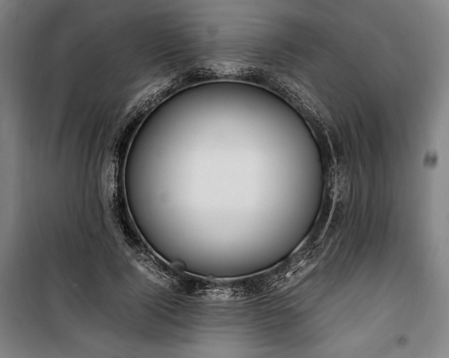X0000100310740200806121040