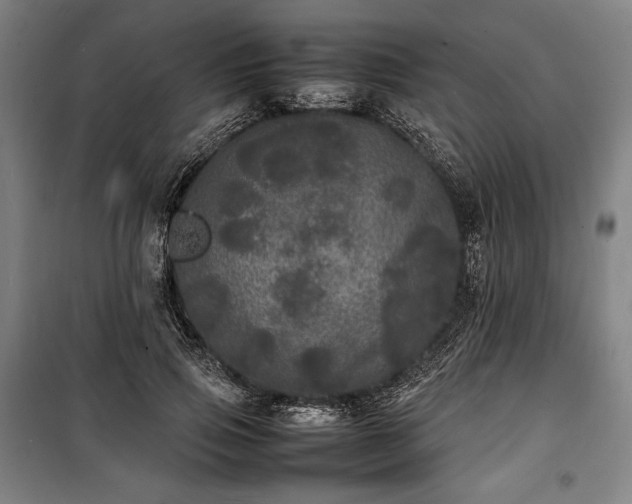X0000100310741200806121040