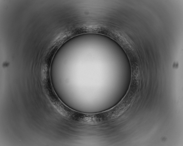 X0000100310744200806121040