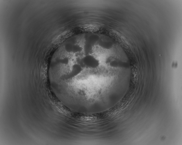X0000100310745200806121040