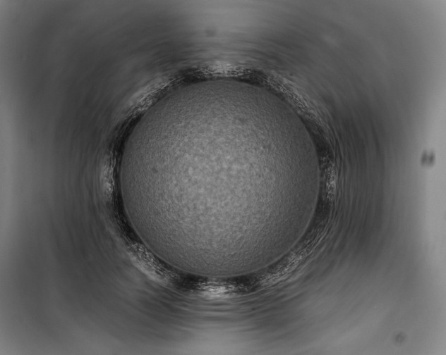 X0000100310746200806121040