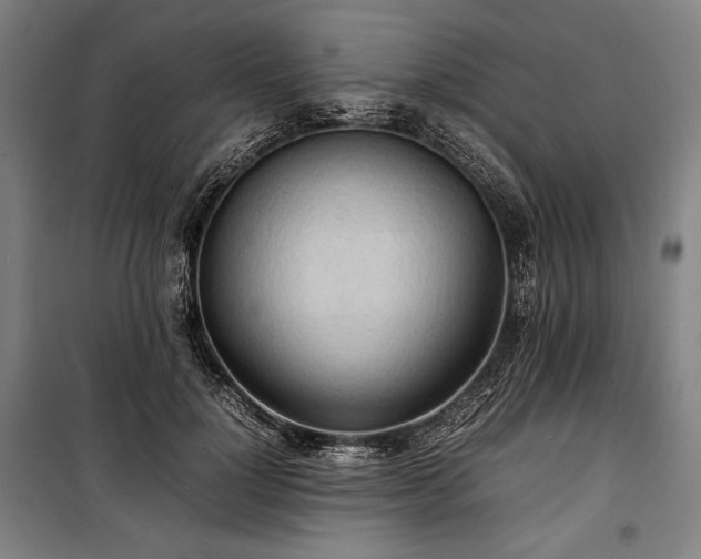 X0000100310748200806121040