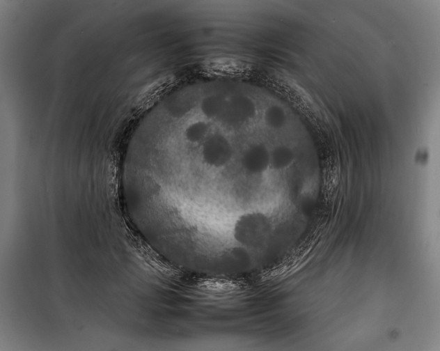 X0000100310749200806121040