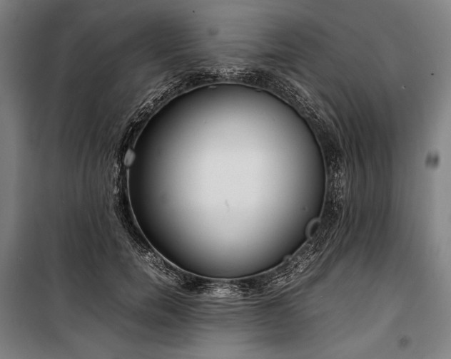X0000100310750200806121040