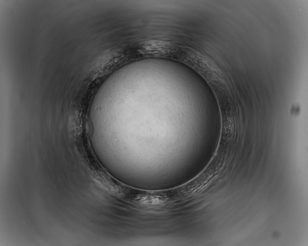 X0000100310751200806121040