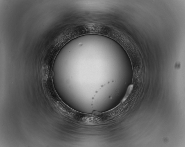 X0000100310752200806121040