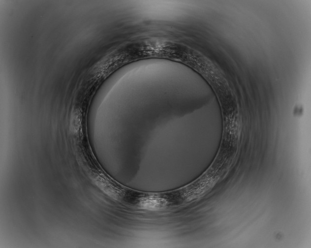 X0000100310754200806121040