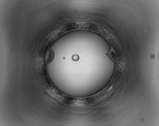 X0000100310756200806121040