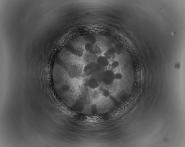 X0000100310757200806121040